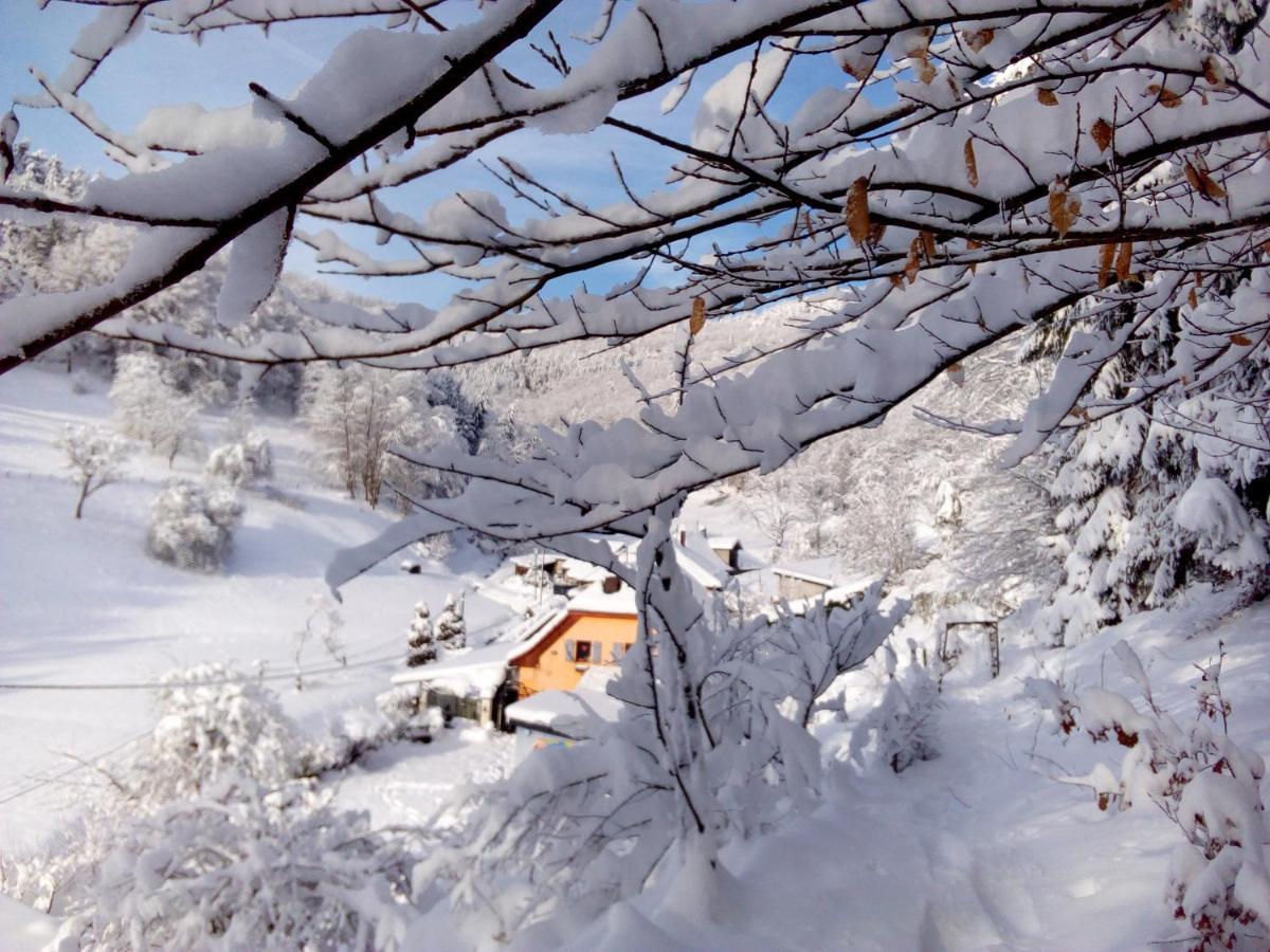 Abri De Jardin Amenage, Chambre Camping Glamour Lalaye Exterior foto